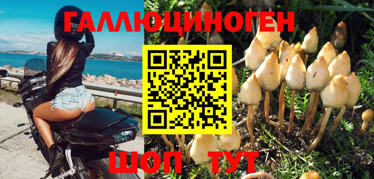 Псилоцибиновые грибы ЛСД Добрянка